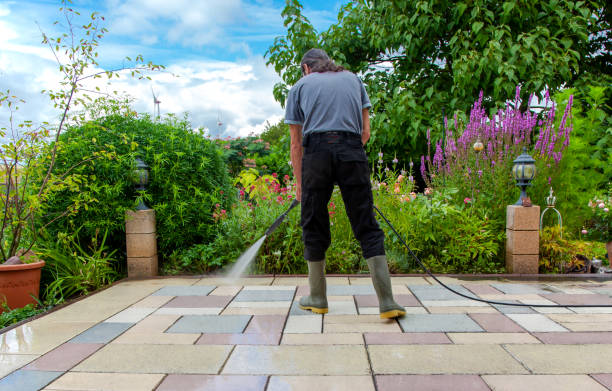 Best Dumpster Area Cleaning  in Lake Sherwood, CA